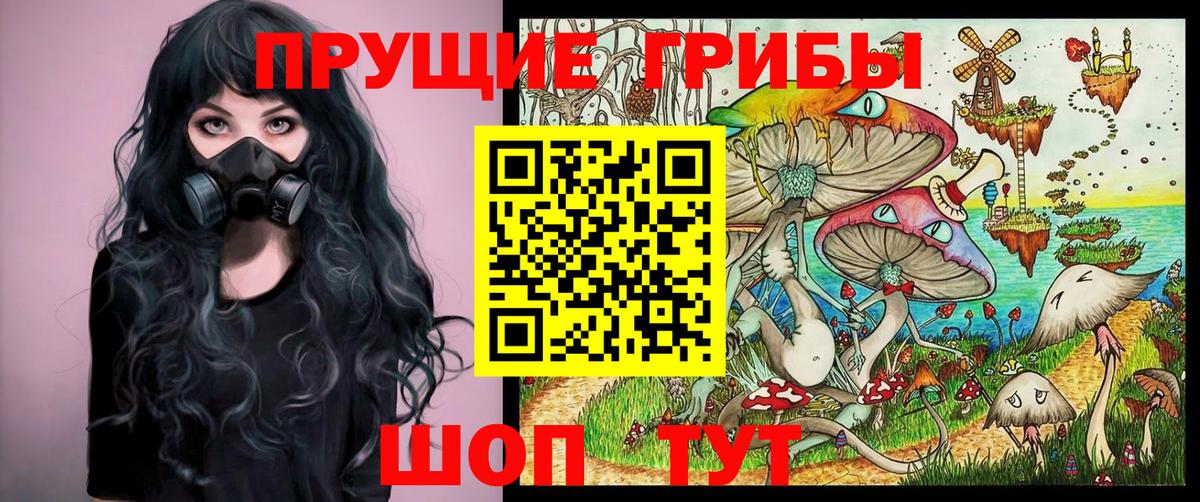 Псилоцибиновые грибы Psilocybe Псков
